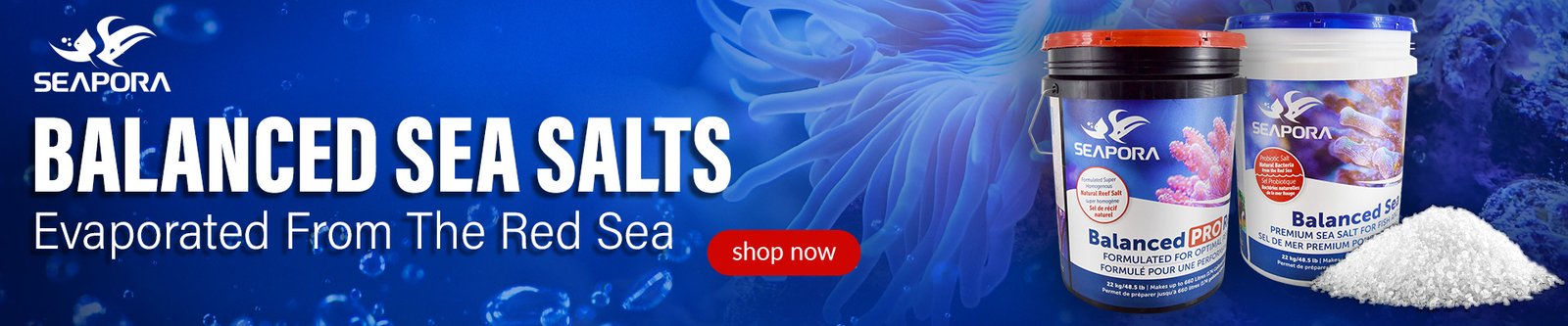 2025.01_BA_SE_Salt_SiteBanner-Lg_1 (2)